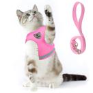 Conjunto de arnês e coleira para passear com gatos e cães pequenos