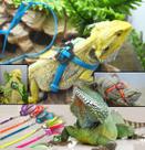 Conjunto de arnês e coleira para réptil Lizard Tzou ajustável