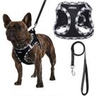 Conjunto de arnês para cães AMTOR Small com coleira para cães XS S M L