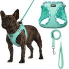 Conjunto de arnês para cães AMTOR Small com coleira para treinar e caminhar