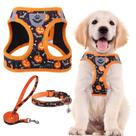 Conjunto de arnês para cães PUPTECK ajustável Step-in No Pull XS