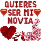 Conjunto de balões Fecuheko QUIERES SER MI NOVIA com pétalas de rosa Conjunto de balões Fecuheko QUIERES SER MI NOVIA com pétalas de rosa