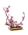 Conjunto de blocos de construção Dovob Decor Lilac Bonsai Plant 974 peças Conjunto de blocos de construção Dovob Decor Lilac Bonsai Plant 974 peças