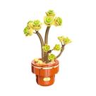 Conjunto De Blocos De Montar DIY Para Meninas: Buquê De Flores Eternas E Plantas Suculentas Em Vaso