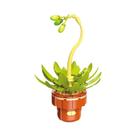 Conjunto De Blocos De Montar DIY Para Meninas: Buquê De Flores Eternas E Plantas Suculentas Em Vaso