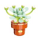 Conjunto De Blocos De Montar DIY Para Meninas: Buquê De Flores Eternas E Plantas Suculentas Em Vaso