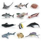 Conjunto de bonecos de brinquedo Deep Sea Fish, 12 peças de PVC realista para crianças Conjunto de bonecos de brinquedo Deep Sea Fish, 12 peças de PVC realista para crianças