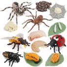 Conjunto de bonecos de ciclo de vida de insetos, 16 modelos de PVC para crianças