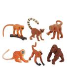 Conjunto de bonecos de macaco em miniatura Wild Monkey PVC, 6 peças de brinquedos infantis Conjunto de bonecos de macaco em miniatura Wild Monkey PVC, 6 peças de brinquedos infantis