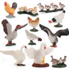 Conjunto de bonecos de pássaros de fazenda em miniatura, 11 peças de PVC para crianças +3 Conjunto de bonecos de pássaros de fazenda em miniatura, 11 peças de PVC para crianças +3