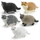 Conjunto de bonecos realista para gatos, 5 peças, PVC, siamês, preto, gato, crianças