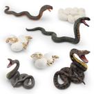 Conjunto de bonecos Snake Life Cycle, 8 peças de animais selvagens realistas Conjunto de bonecos Snake Life Cycle, 8 peças de animais selvagens realistas