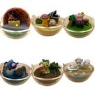 Conjunto de bonecos Transparent Poké Balls, pacote com 6 Pikachu Eevee