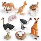 Conjunto de bonecos Wildlife Life Cycle, 8 peças de PVC, modelos de animais para crianças