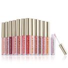 Conjunto de brilho labial ELLEN TRACY, coleção completa de 15 peças, dourado