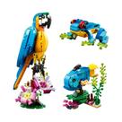 Conjunto De Brinquedos De Construção Colorido 3 Em 1 Que Se Transforma Em Peixe Nadador E Sapo Fofo