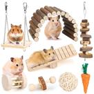 Conjunto de brinquedos Hamster Chew para roedores, cuidados com os dentes, acessórios de madeira