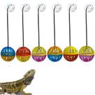 Conjunto de brinquedos Koomduk Bearded Dragon, pacote com 6 bolas e acessórios