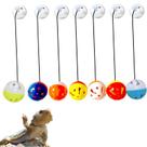 Conjunto de brinquedos Koomduk Bearded Dragon Reptile Lizard, pacote com 7 bolas