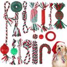 Conjunto de Brinquedos para Cães EXPAWLORER (15 Peças) - Para Dentição de Todas as Raças