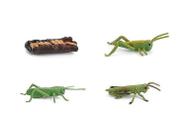 Conjunto de brinquedos para crianças com estatuetas em miniatura Grasshoper Model