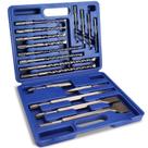 Conjunto de brocas e cinzéis com martelo rotativo WORKPRO de 17 peças
