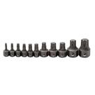 Conjunto de brocas Torx Insert GEARWRENCH de 11 peças para 6 e 12 Pt. Conjunto de brocas Torx Insert GEARWRENCH de 11 peças para 6 e 12 Pt.