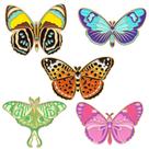 Conjunto de broches Colorful Butterfly, 5 peças de alfinetes de liga leve
