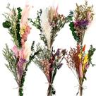 Conjunto de buquê de flores secas CANEGGG, tamanho grande, 6 cachos