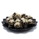 Conjunto de cabeças de caveira em miniatura, ornamentos de esqueleto de resina de Halloween