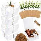Conjunto de caixas de presente de papel branco Crtiin, pacote com 8, 20x20x10 cm