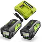 Conjunto de carregador de íon de lítio Battery Moticett 40V 6.0Ah