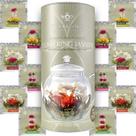 Conjunto de chá Flowering Teabloom Jasmine Flower, pacote com 12, 250 xícaras