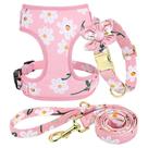 Conjunto de coleira, arnês e coleira para cães Beirui Cute Girl Pink M