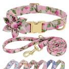 Conjunto de coleira e coleira para cães Beirui Cute Girl for Dogs Pink L