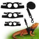 Conjunto de coleiras e arnês Asofelk Black Bearded Dragon