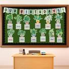 Conjunto de decorações de quadro de avisos Happy Birthday Boho Plants