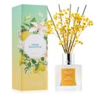 Conjunto de difusor Reed Airkeep, óleo de eucalipto e limão, 100 ml com palitos