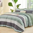 Conjunto de edredom Andency Queen Sage Green Microfiber 7 peças Conjunto de edredom Andency Queen Sage Green Microfiber 7 peças