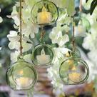 Conjunto de esferas de vidro LETINE Green, 12 unidades com terrário de plantas aéreas Conjunto de esferas de vidro LETINE Green, 12 unidades com terrário de plantas aéreas