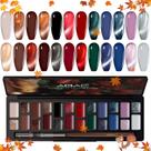 Conjunto de esmaltes de gel ABAC Solid Cat Eye 24 cores com pincel