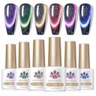 Conjunto de esmaltes de gel Born Pretty 9D Magnetic 7mL 6 cores