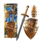Conjunto de espadas e escudos Cosplay Toy para crianças - multicolorido