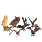 Conjunto de estatuetas Bird of Prey, 9 peças de PVC realista para decoração infantil