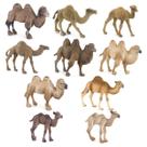 Conjunto de estatuetas Camel, 10 peças realistas de PVC Desert Animal Kids 3+ Conjunto de estatuetas Camel, 10 peças realistas de PVC Desert Animal Kids 3+