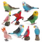 Conjunto de estatuetas Colorful Parrot, 9 peças, modelos de pássaros em PVC para crianças Conjunto de estatuetas Colorful Parrot, 9 peças, modelos de pássaros em PVC para crianças