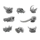 Conjunto de estatuetas com crânio de animal pré-histórico realista x8 crianças em PVC