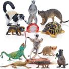 Conjunto de estatuetas de animais Toymany Madagascar, 12 unidades com peças realistas