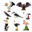 Conjunto de estatuetas de animais Toymany, pássaro realista de 8 peças para crianças