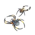 Conjunto de estatuetas de aranha realistas, 2 modelos de PVC Golden Orb-Weaver Conjunto de estatuetas de aranha realistas, 2 modelos de PVC Golden Orb-Weaver